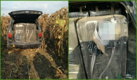 FOTO // A vrut să fugă cu 300 000 de țigări în portbagaj, dar a ajuns într-un lan de floarea soarelui